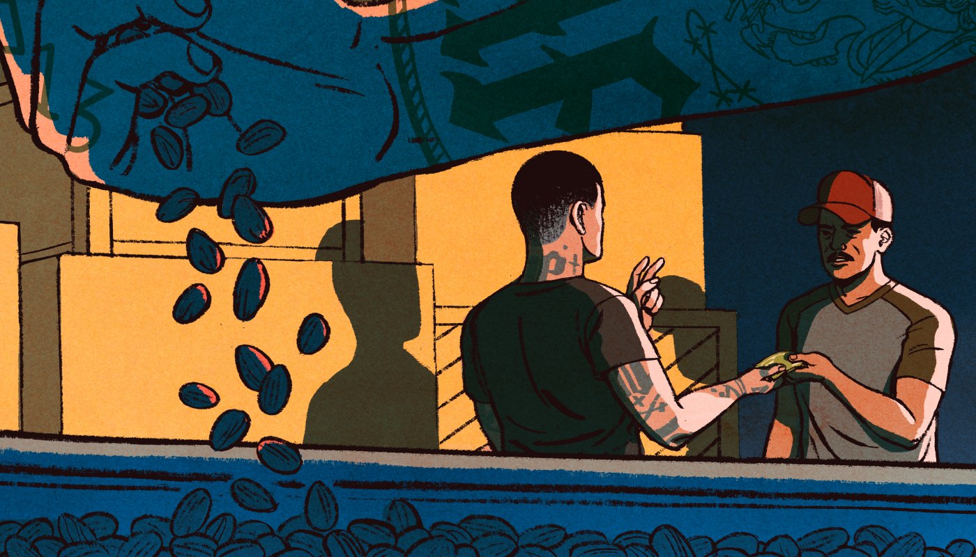 vol de noix qui valent des millions aux Etats-Unis